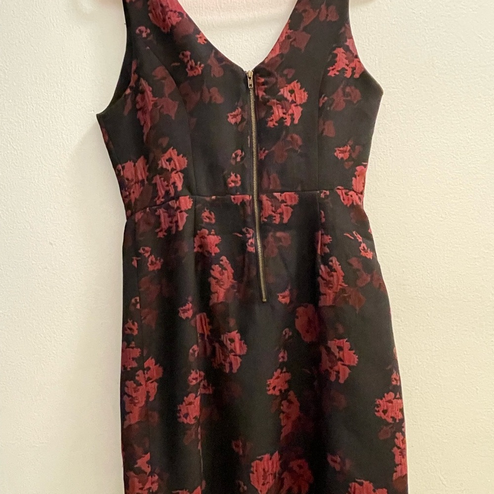 Jack. - Picture 7 of 11